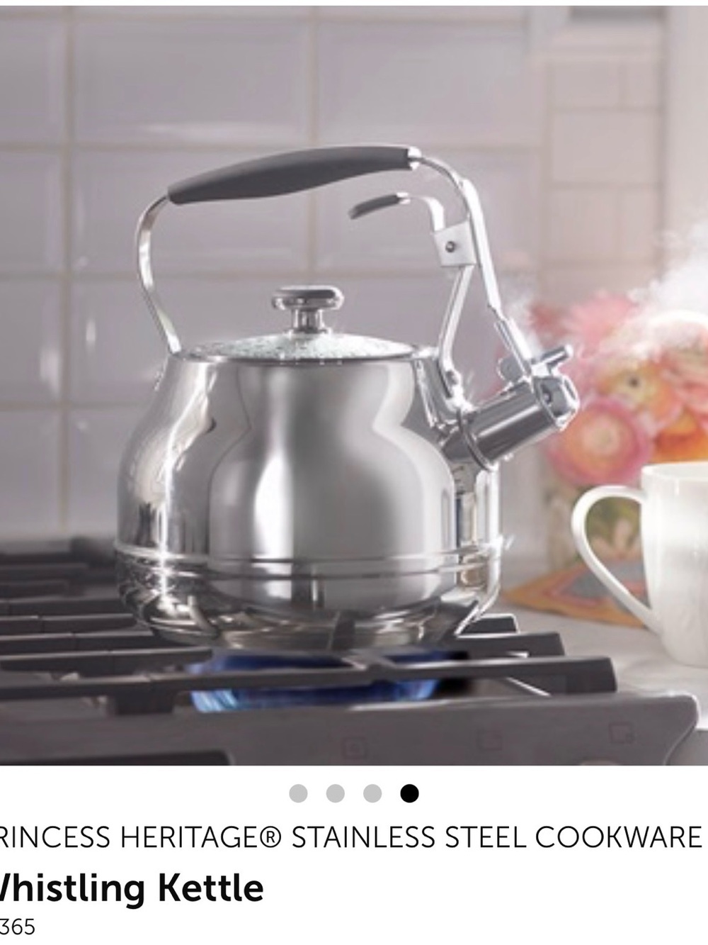 Stainless Steel Whistling Kettle - Silver
